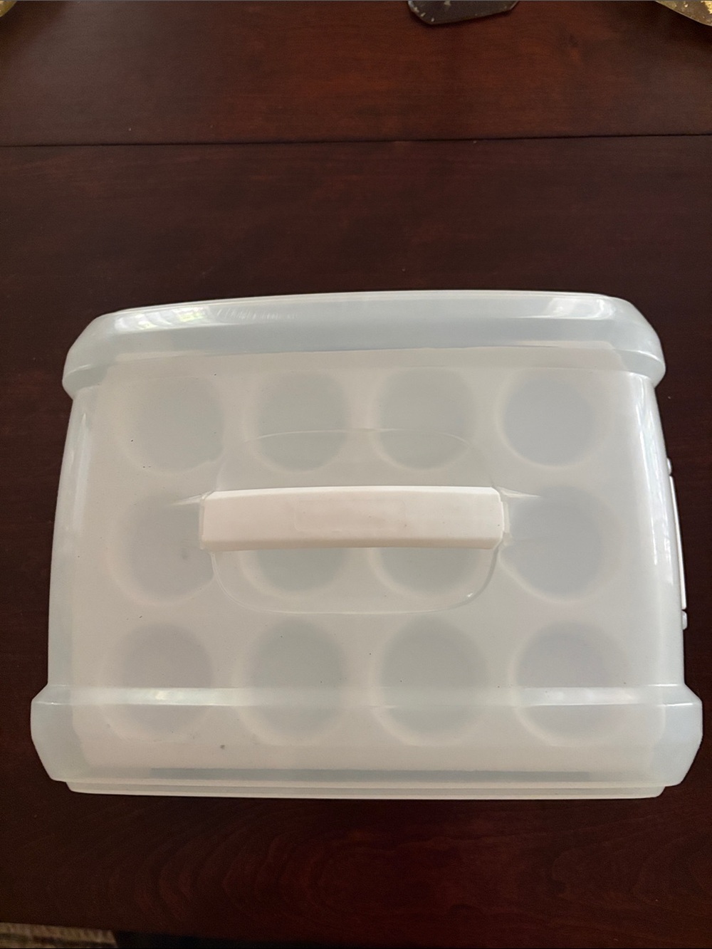 Cupcake Carrier